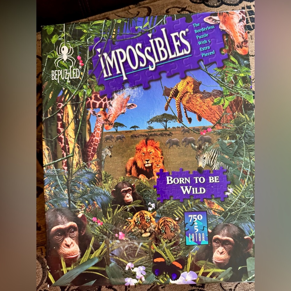 90’s Vintage Bepuzzled Impossible Puzzle